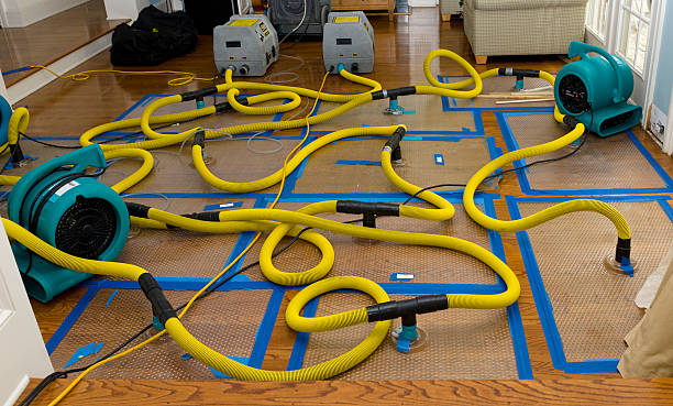 Professional Sewage Cleanup technician working in Wellsville, UT